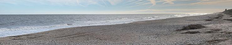 Beach Edisto Island
