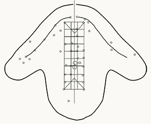 Eagle Mound post molds